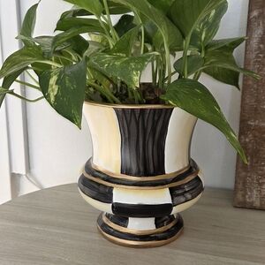 Elegant Black and Cream Planter